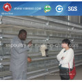 192-288 Capacity Layer Cage for Big Farm
